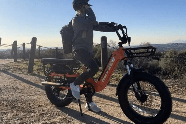 Delivery Bike