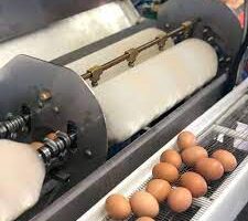 Egg cleaning machines