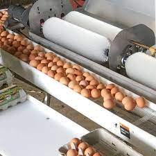 Egg cleaning machines