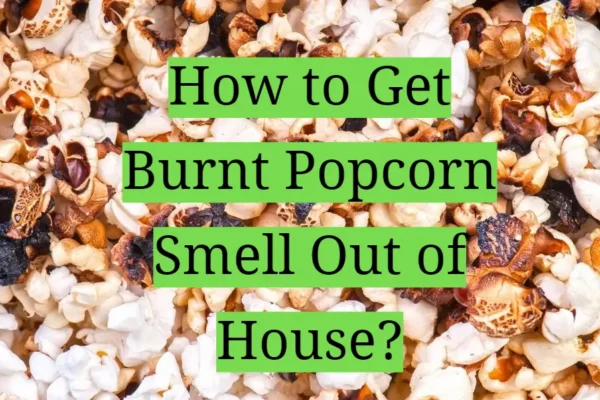 how to get burnt popcorn smell out of house fast