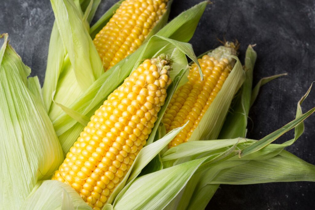 Selecting Corn